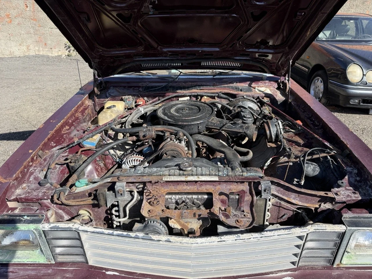 IMG_3033 – grande.jpeg