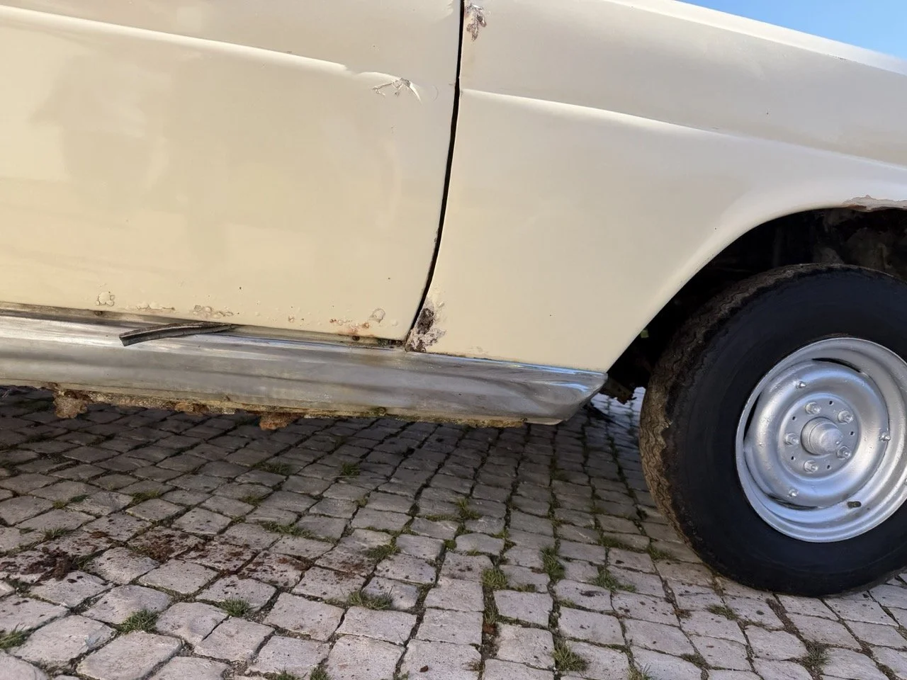 IMG_7055 – grande.jpeg