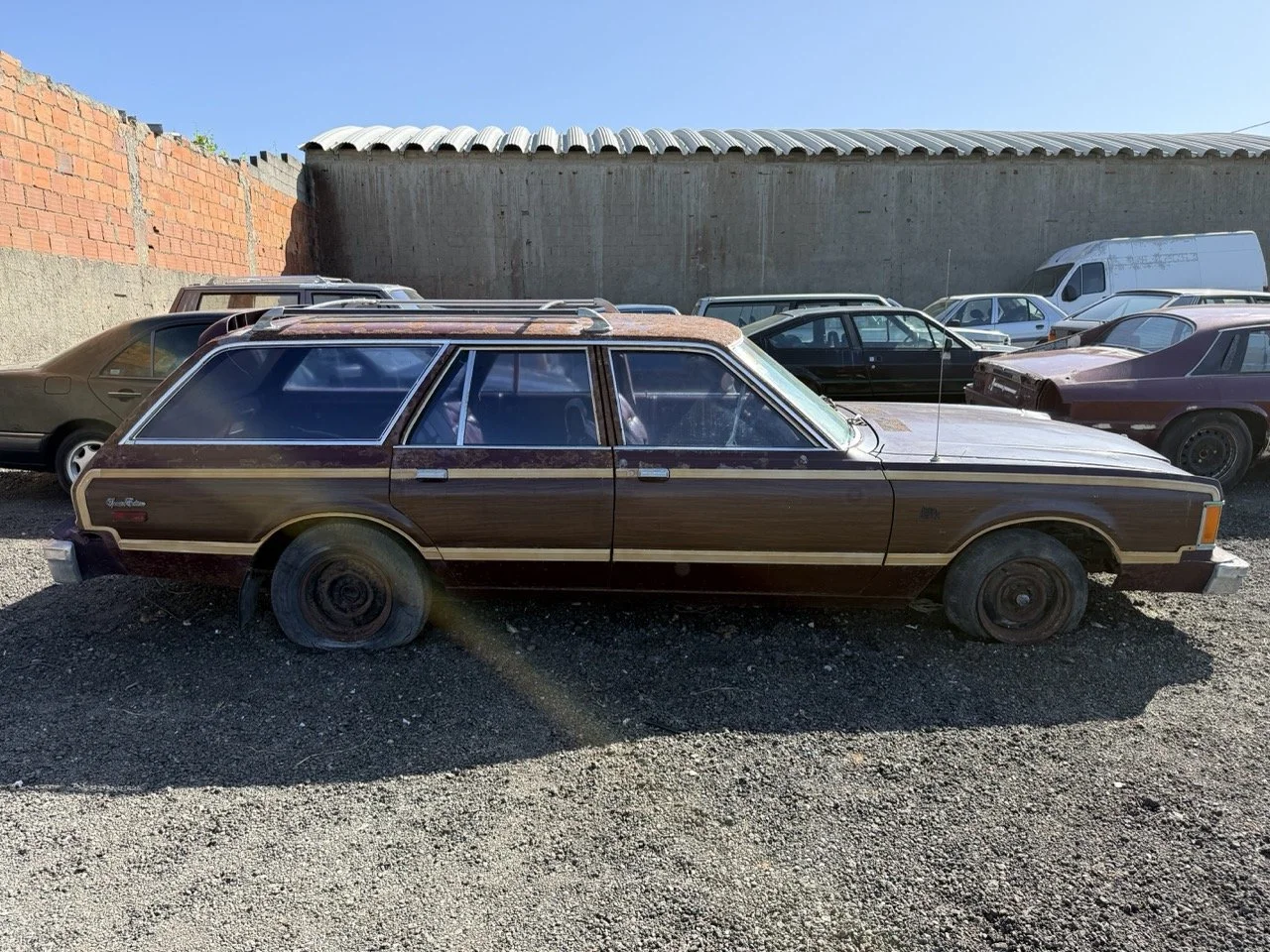 IMG_3009 – grande.jpeg