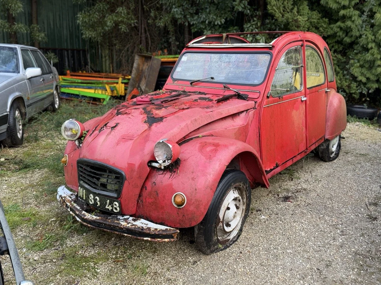 IMG_5466 – grande.jpeg