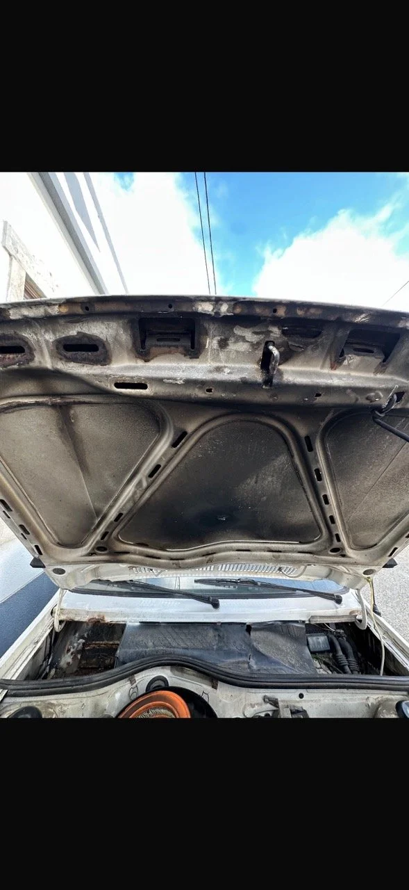 IMG_5274 – grande.jpeg