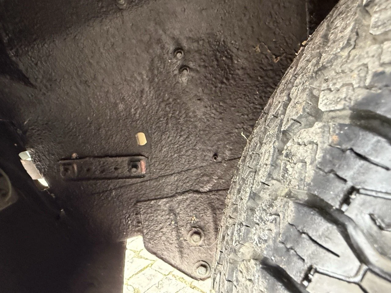 IMG_6359 – grande.jpeg