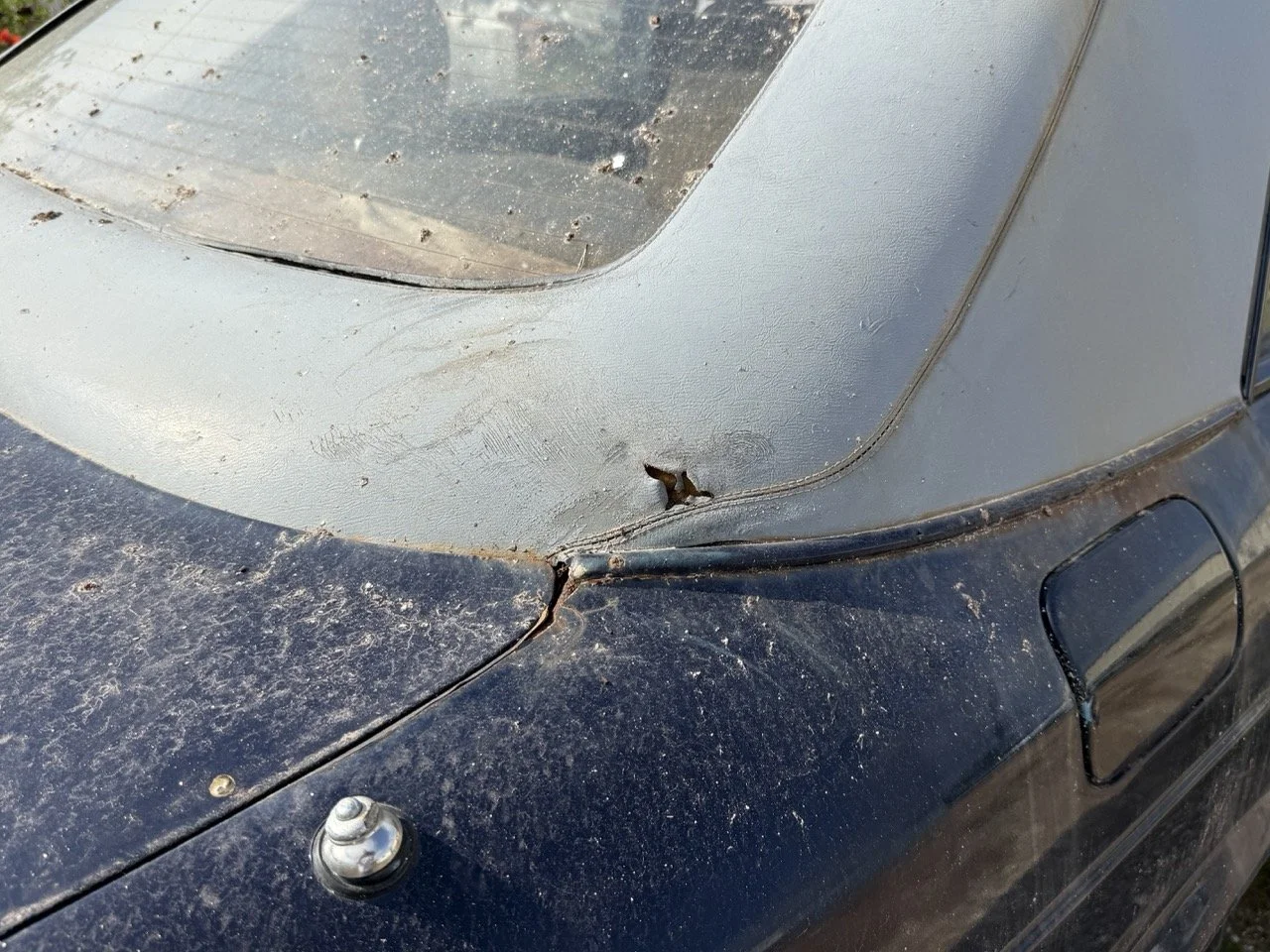 IMG_3404 – grande.jpeg