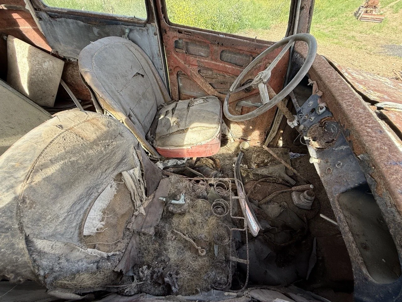 IMG_0367 – grande.jpeg