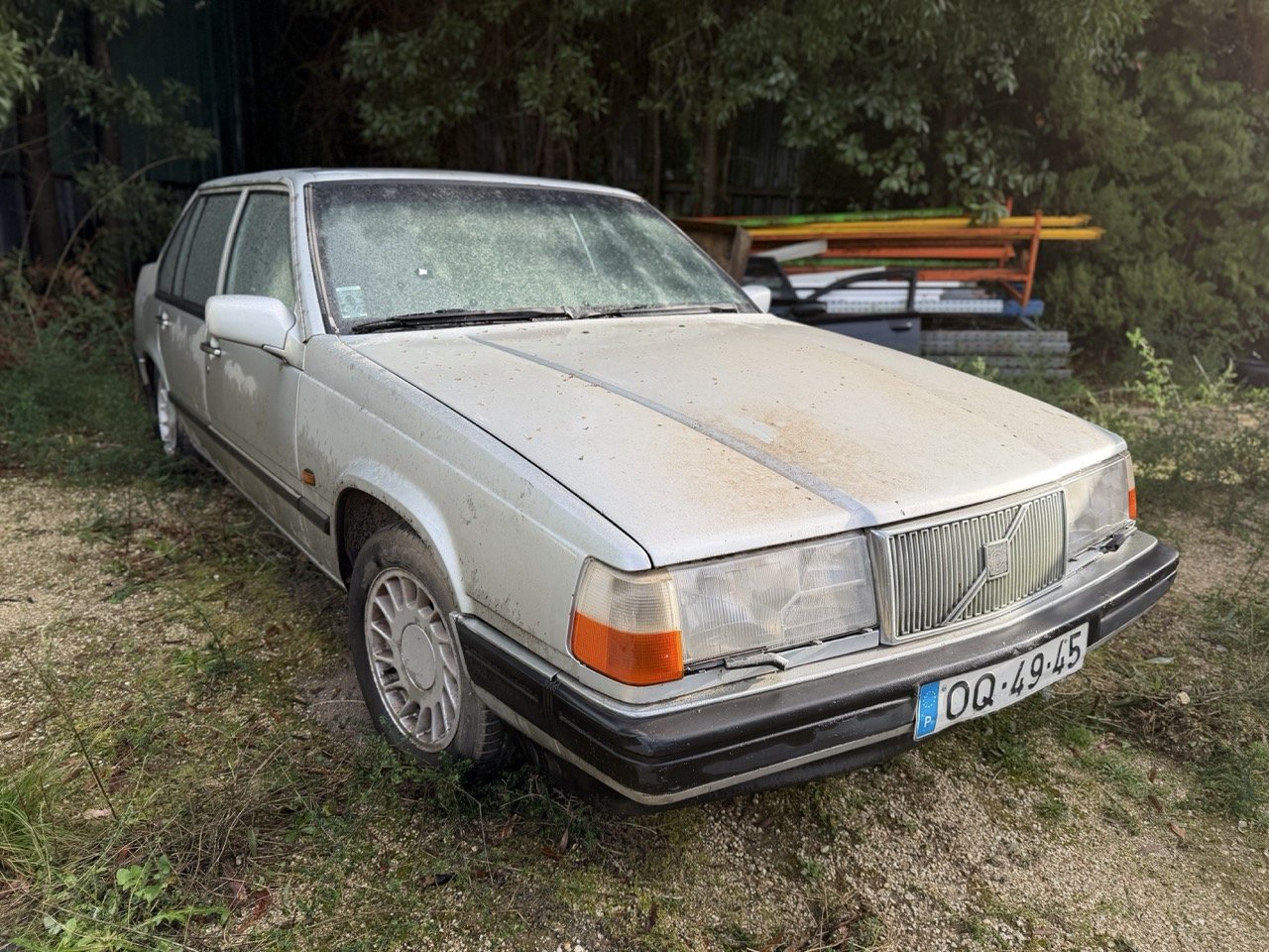 IMG_5735 – grande.jpeg