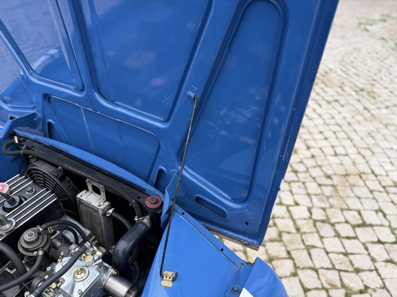 IMG_6038 – grande.jpeg