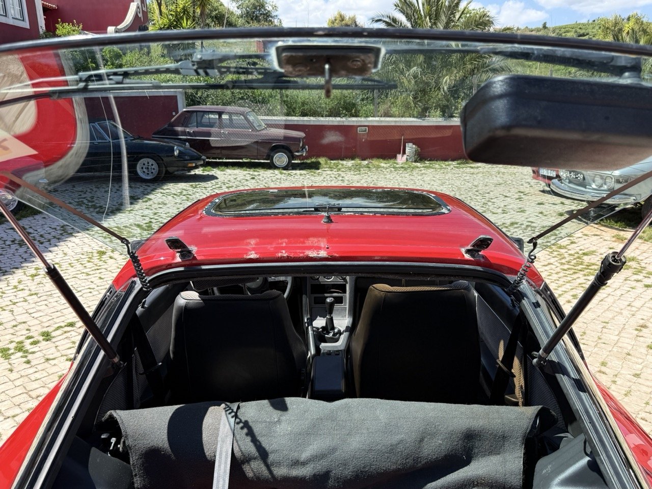 IMG_2085 – grande.jpeg