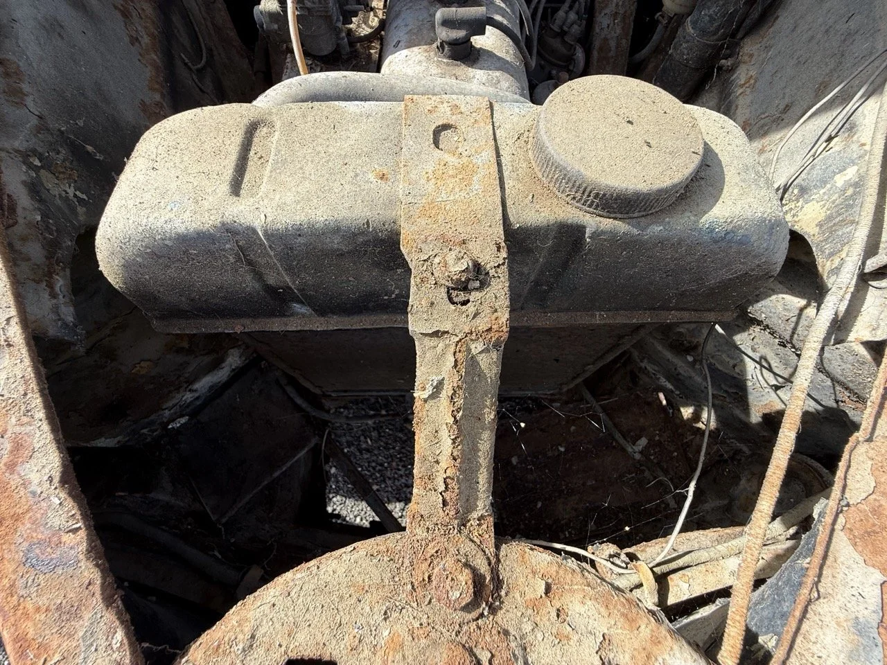 IMG_0419 – grande.jpeg