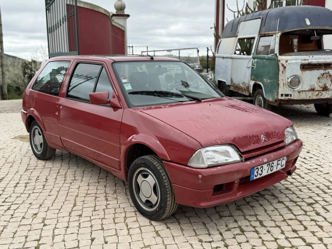 IMG_3565 – grande.jpeg