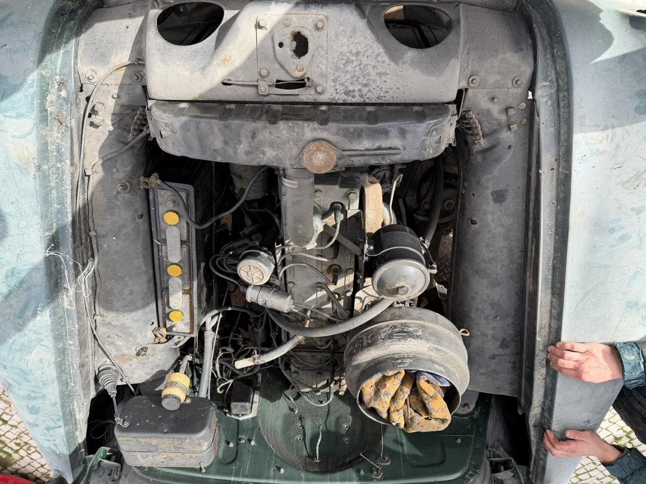 IMG_1793 – grande.jpeg