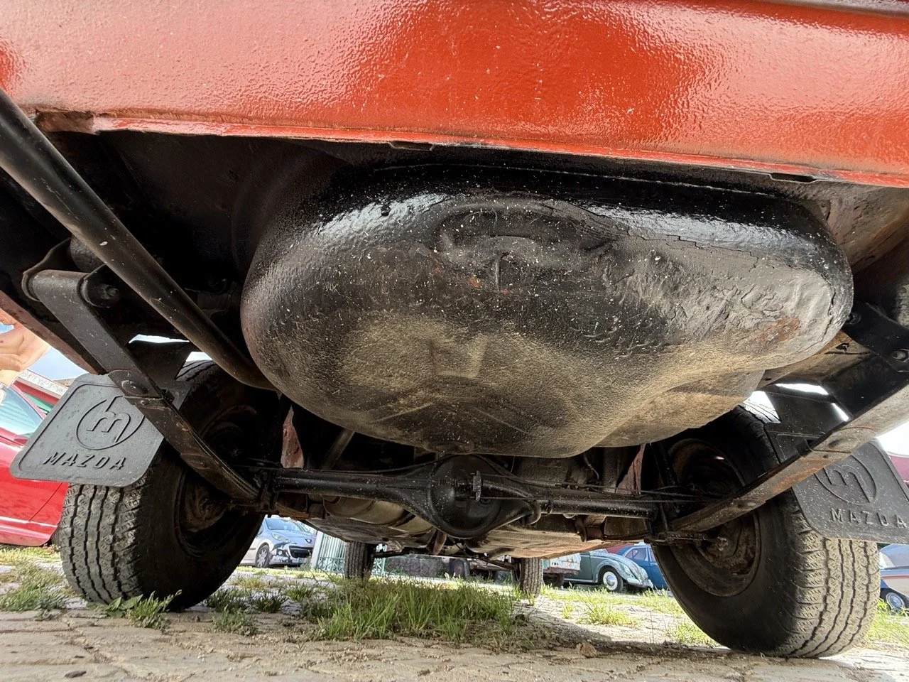 IMG_3665 – grande.jpeg