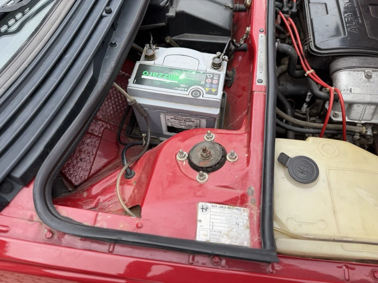 IMG_3478 – grande.jpeg