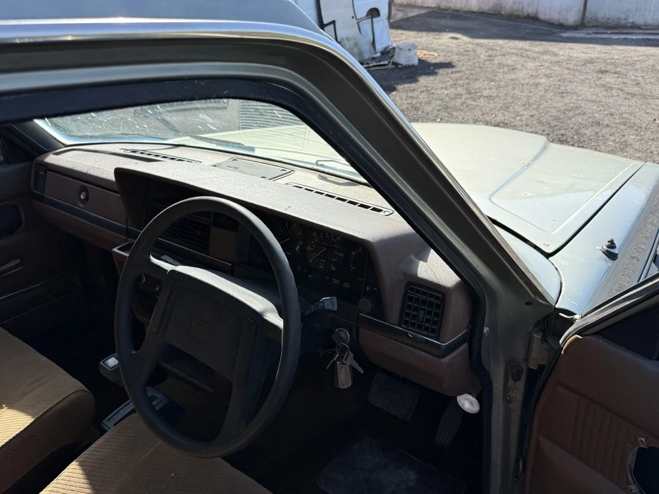 IMG_1215 – grande.jpeg