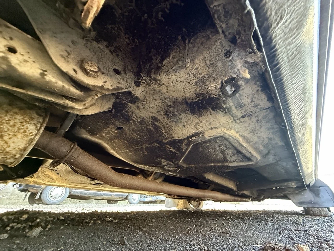 IMG_1232 – grande.jpeg