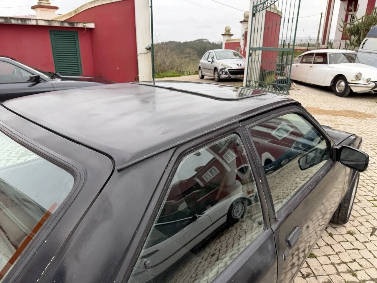 IMG_1316 – grande.jpeg