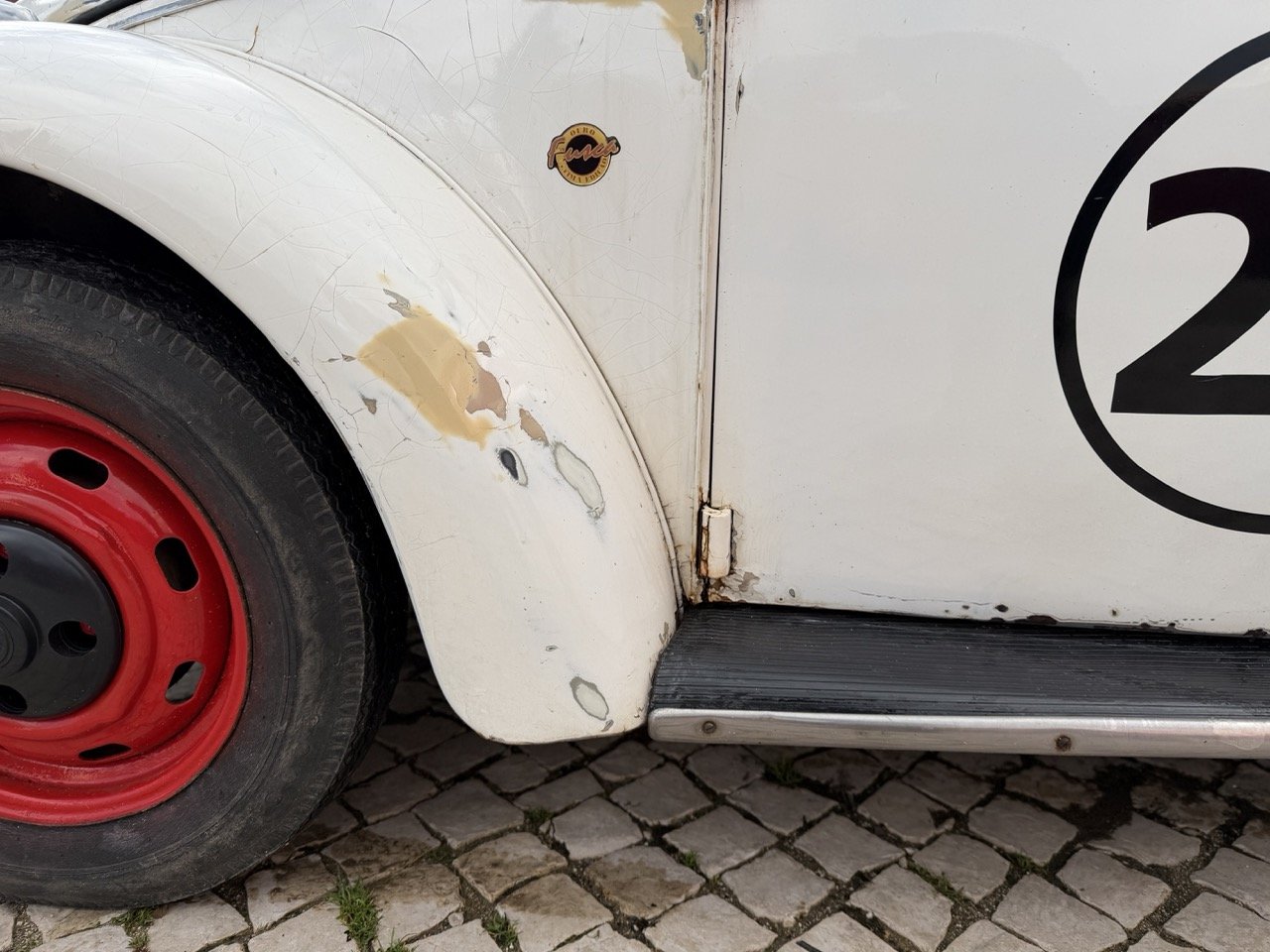 IMG_8656 – grande.jpeg