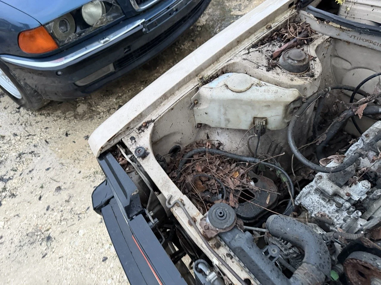 IMG_0247 – grande.jpeg