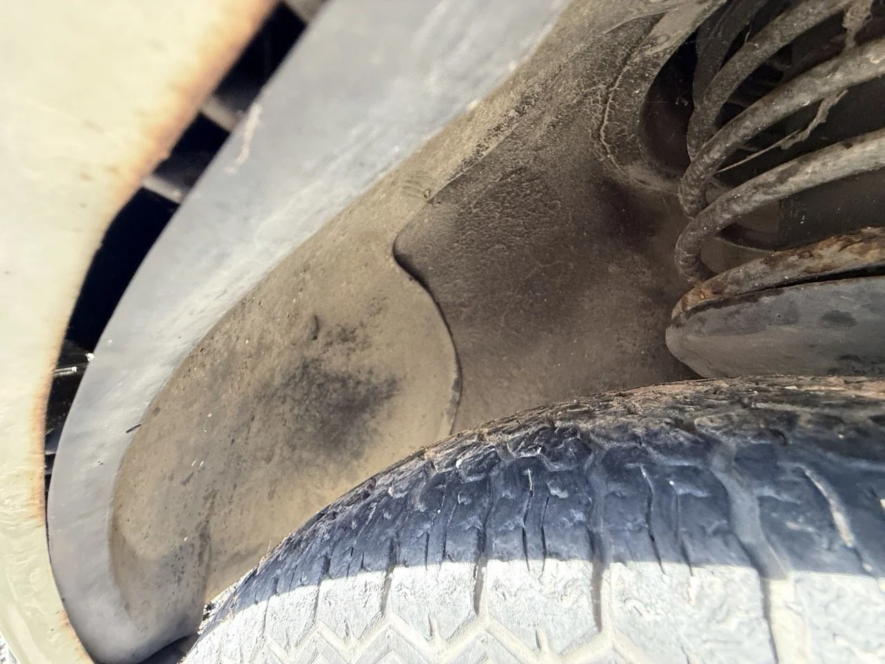 IMG_1241 – grande.jpeg