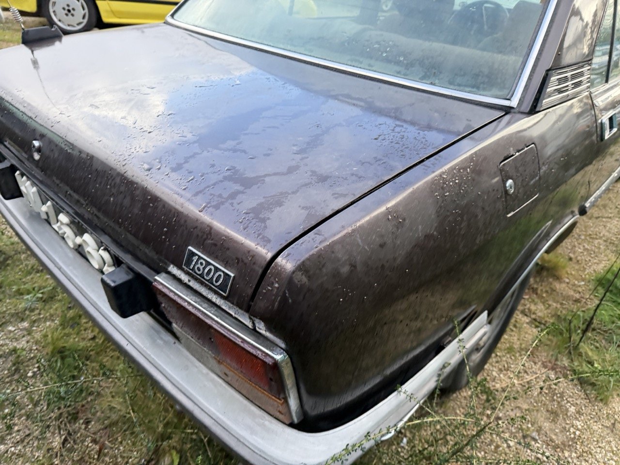 IMG_5268 – grande.jpeg