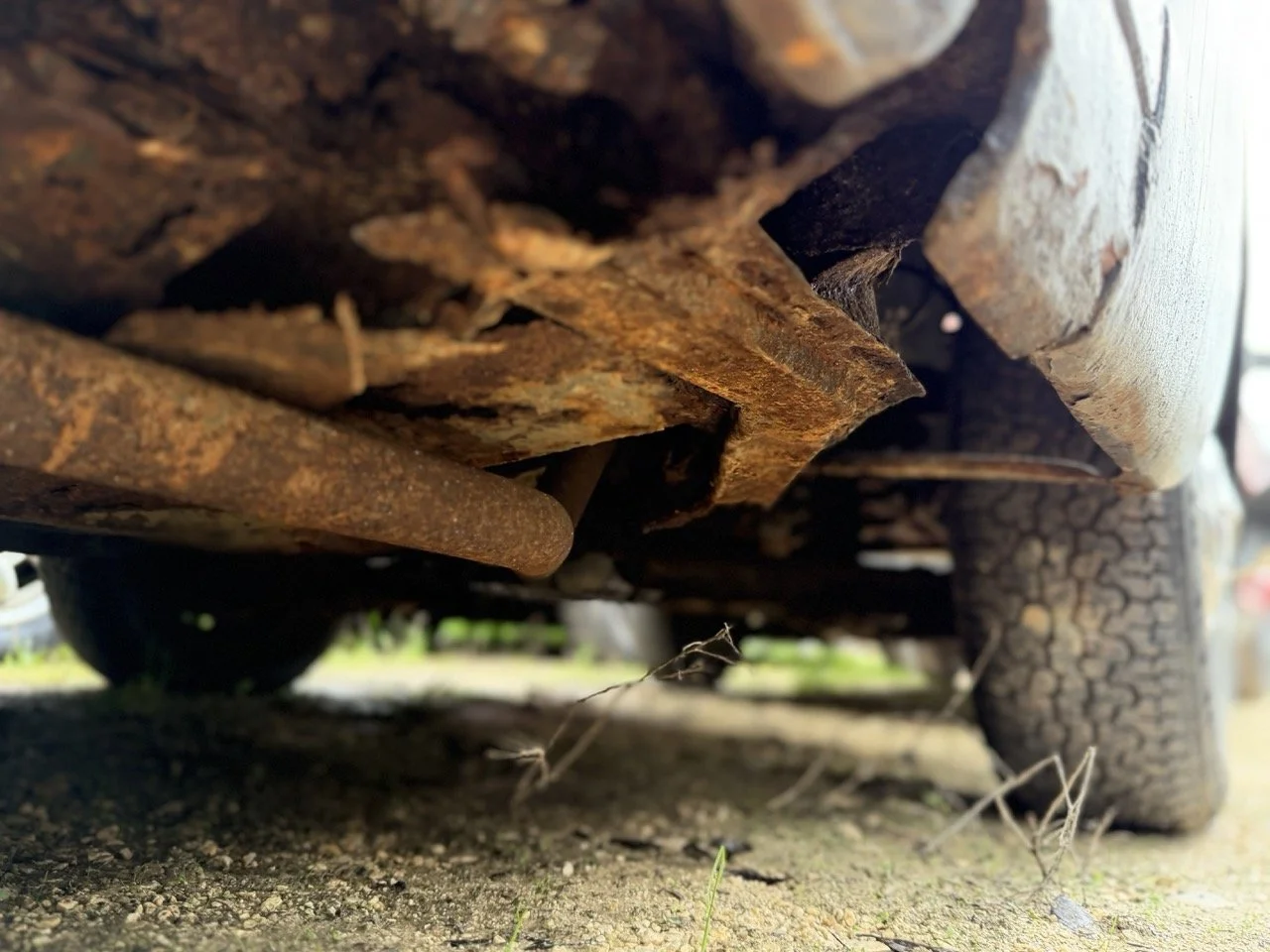 IMG_5006 – grande.jpeg