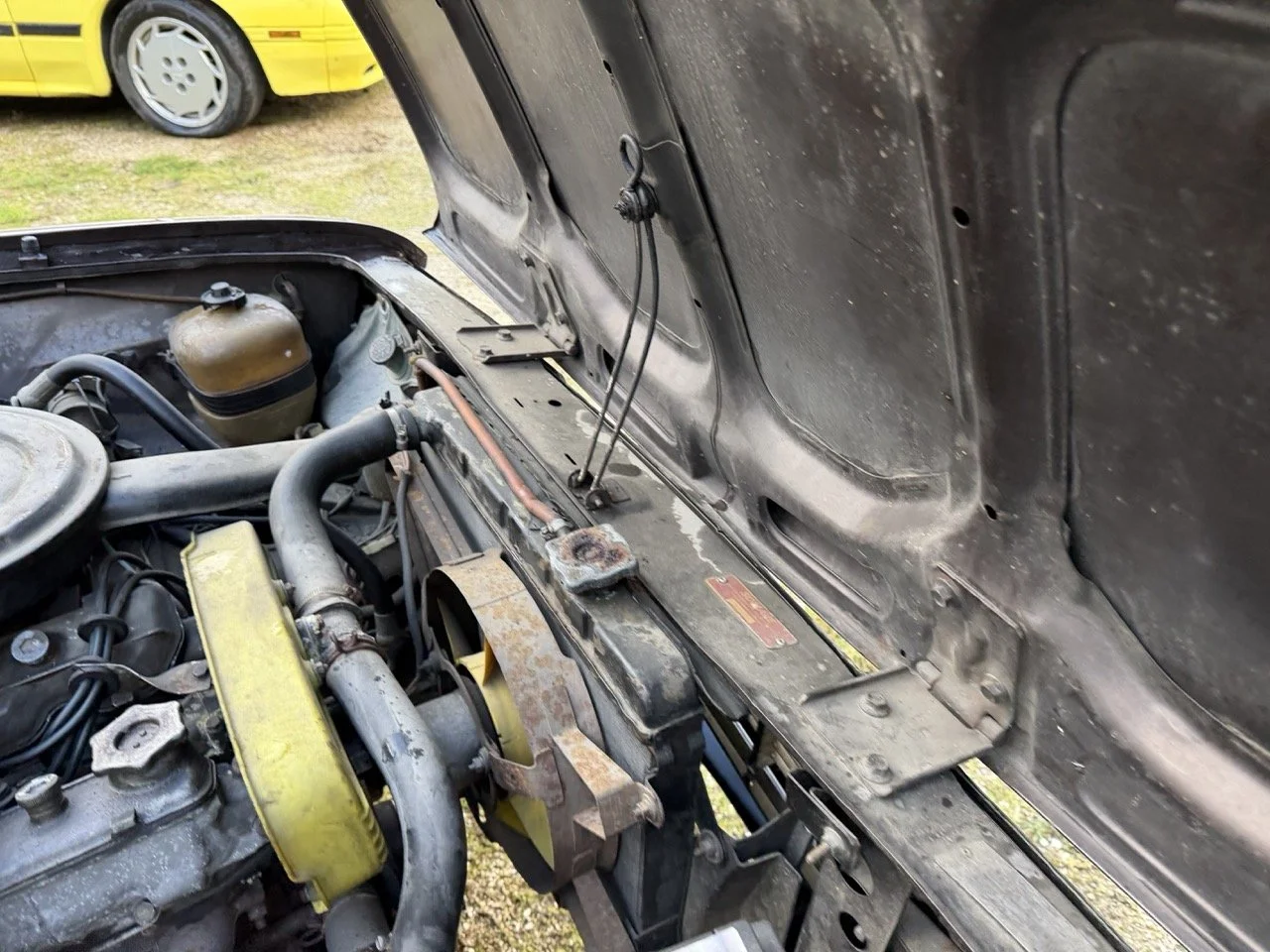 IMG_5287 – grande.jpeg