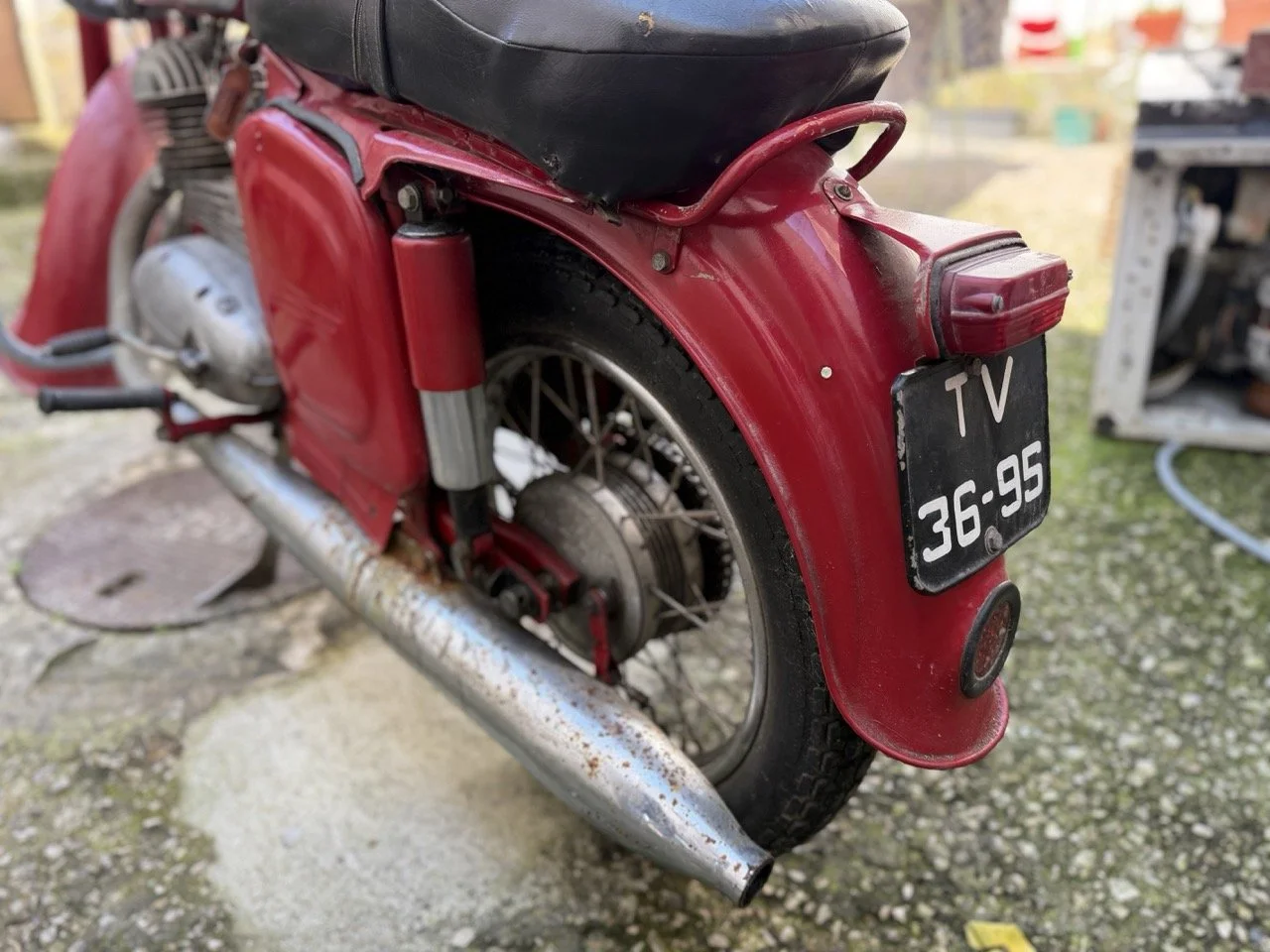 IMG_5897 – grande.jpeg