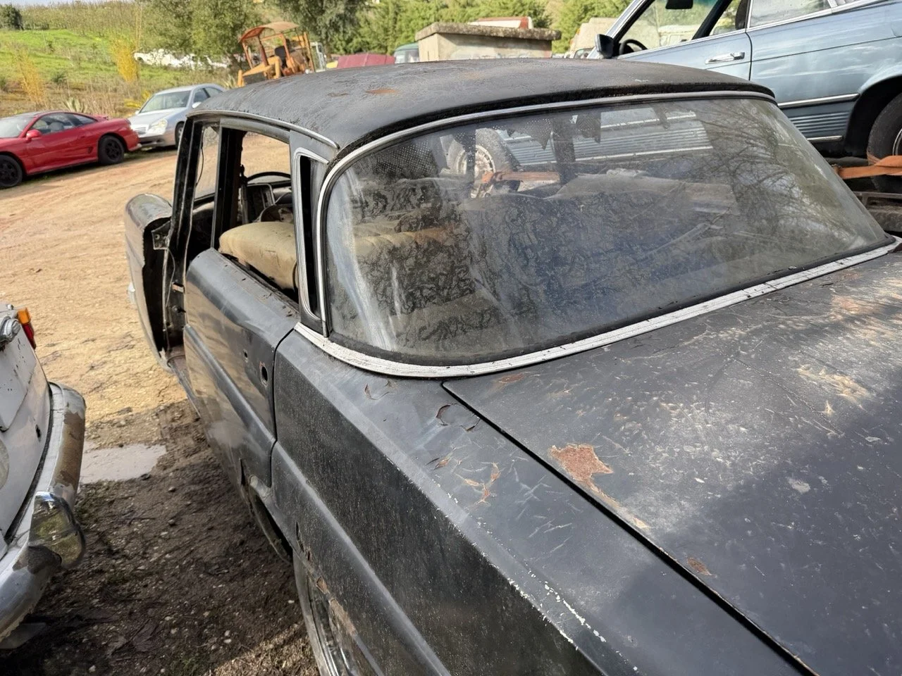 IMG_5236 – grande.jpeg