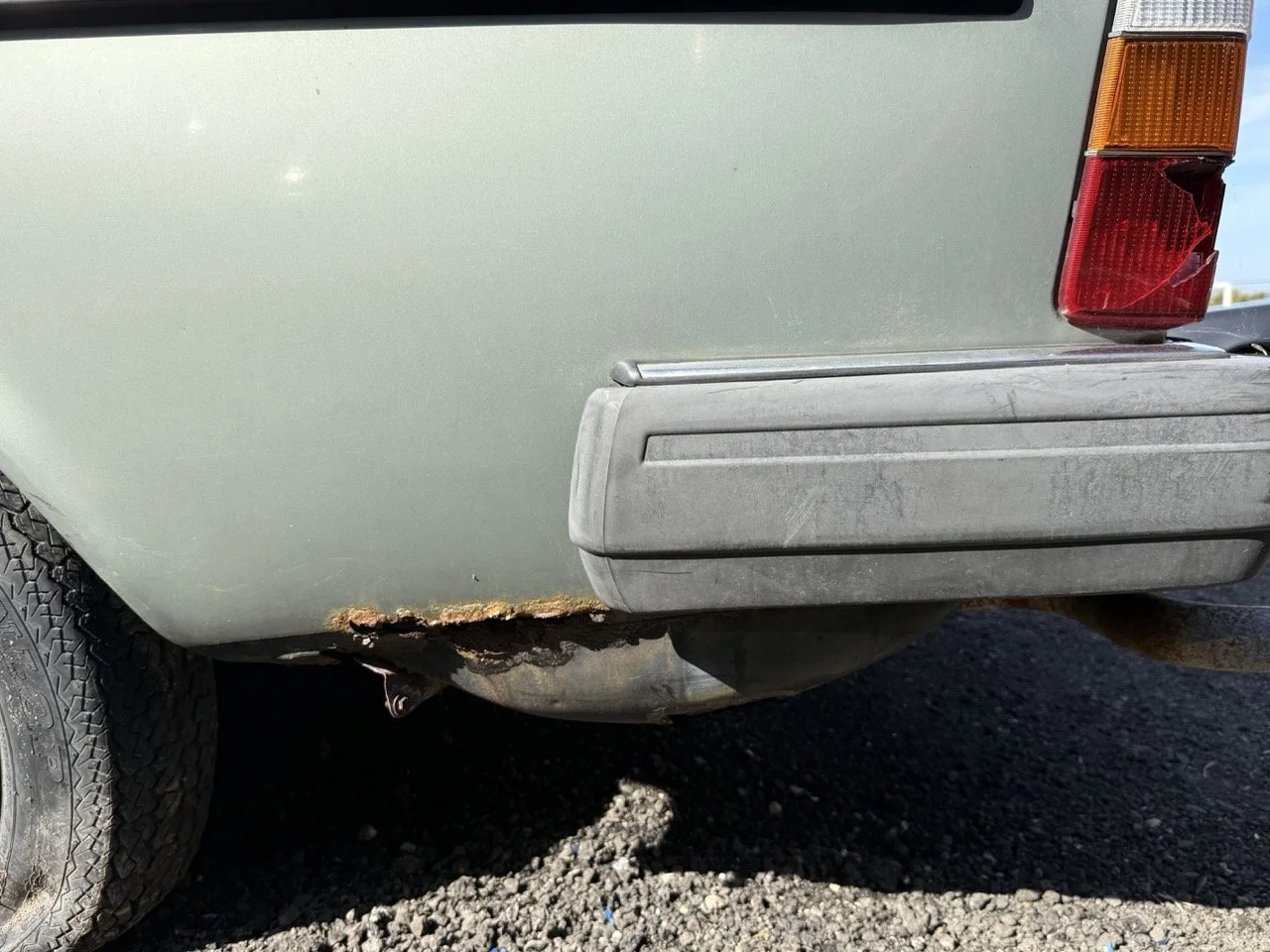 IMG_1187 – grande.jpeg