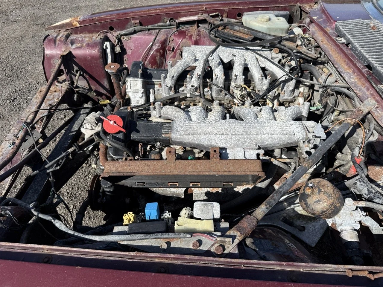 IMG_2974 – grande.jpeg