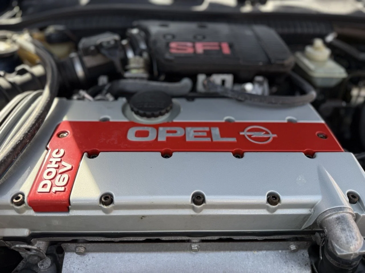 IMG_2416 – grande.jpeg