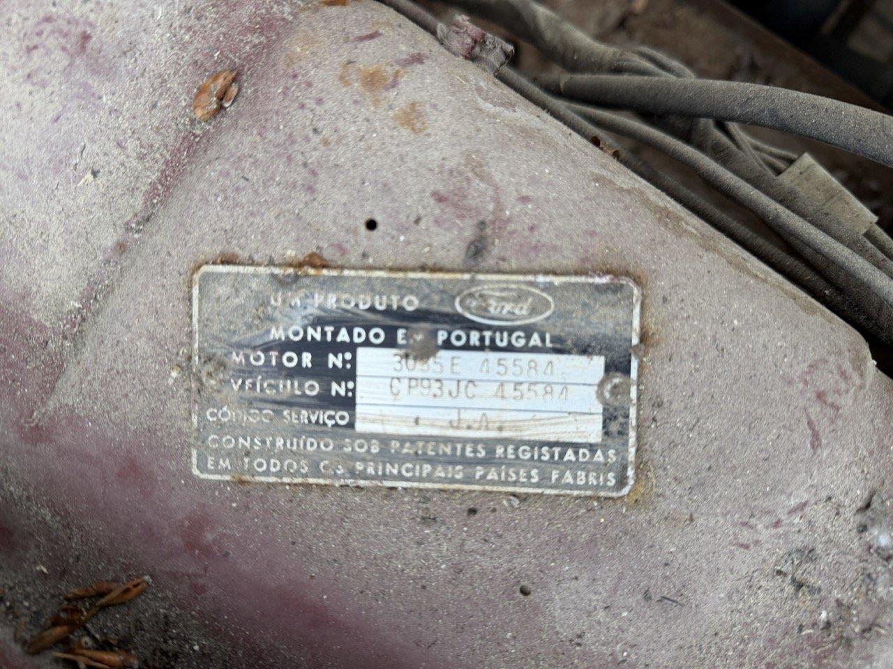 IMG_8959 – grande.jpeg