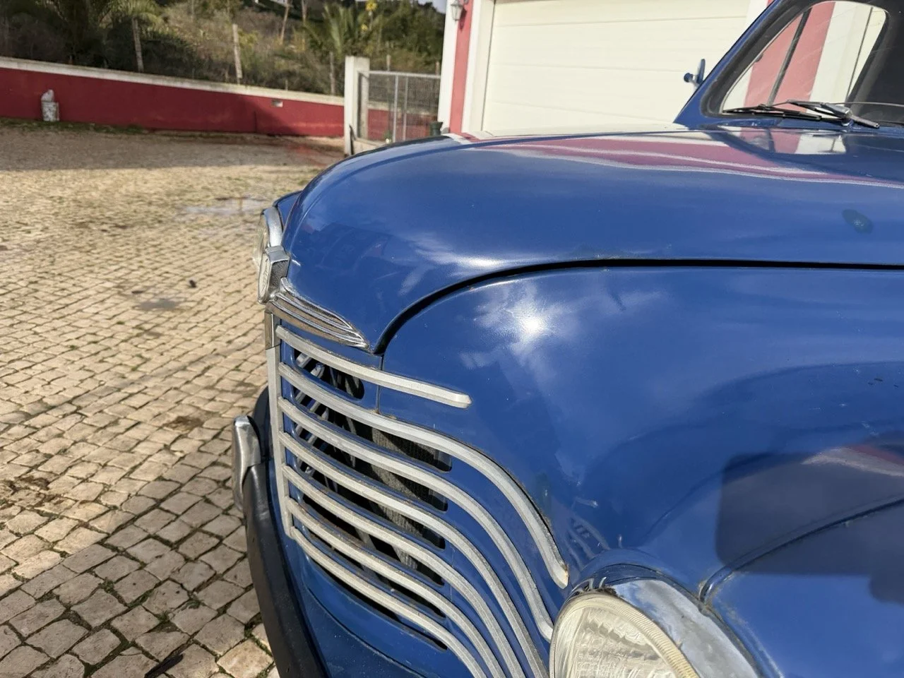 IMG_8129 – grande.jpeg