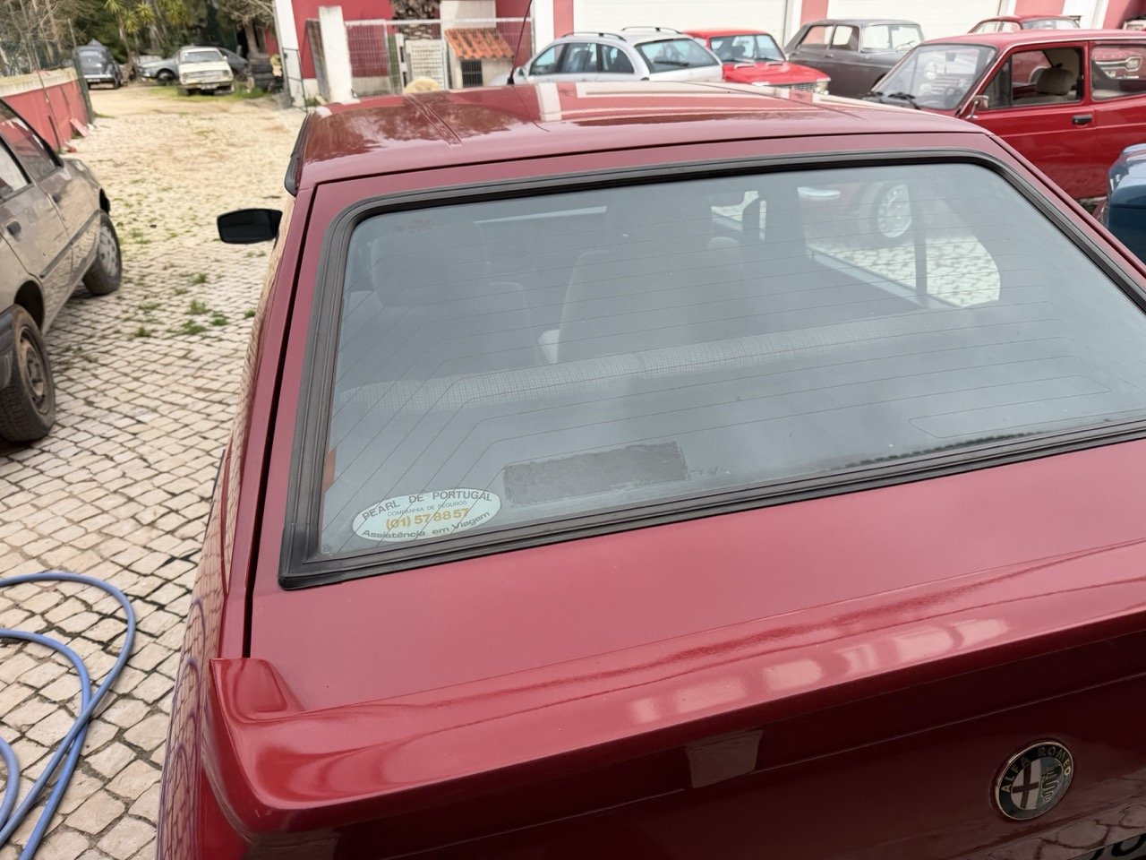 IMG_3516 – grande.jpeg