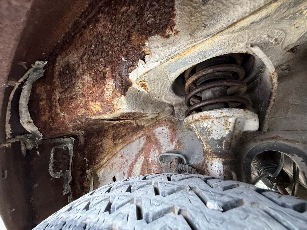 IMG_8652 – grande.jpeg