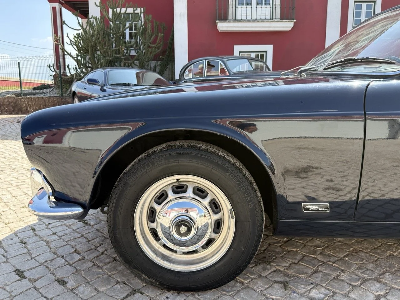 IMG_6387 – grande.jpeg