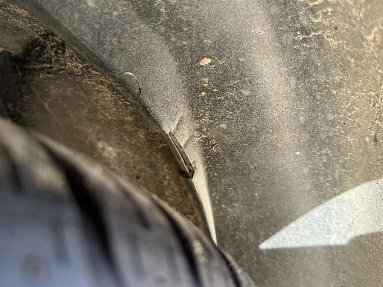 IMG_2644 – grande.jpeg