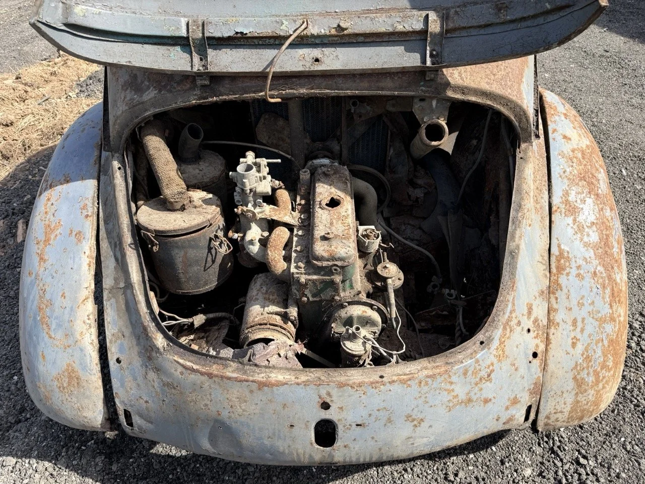 IMG_0277 – grande.jpeg