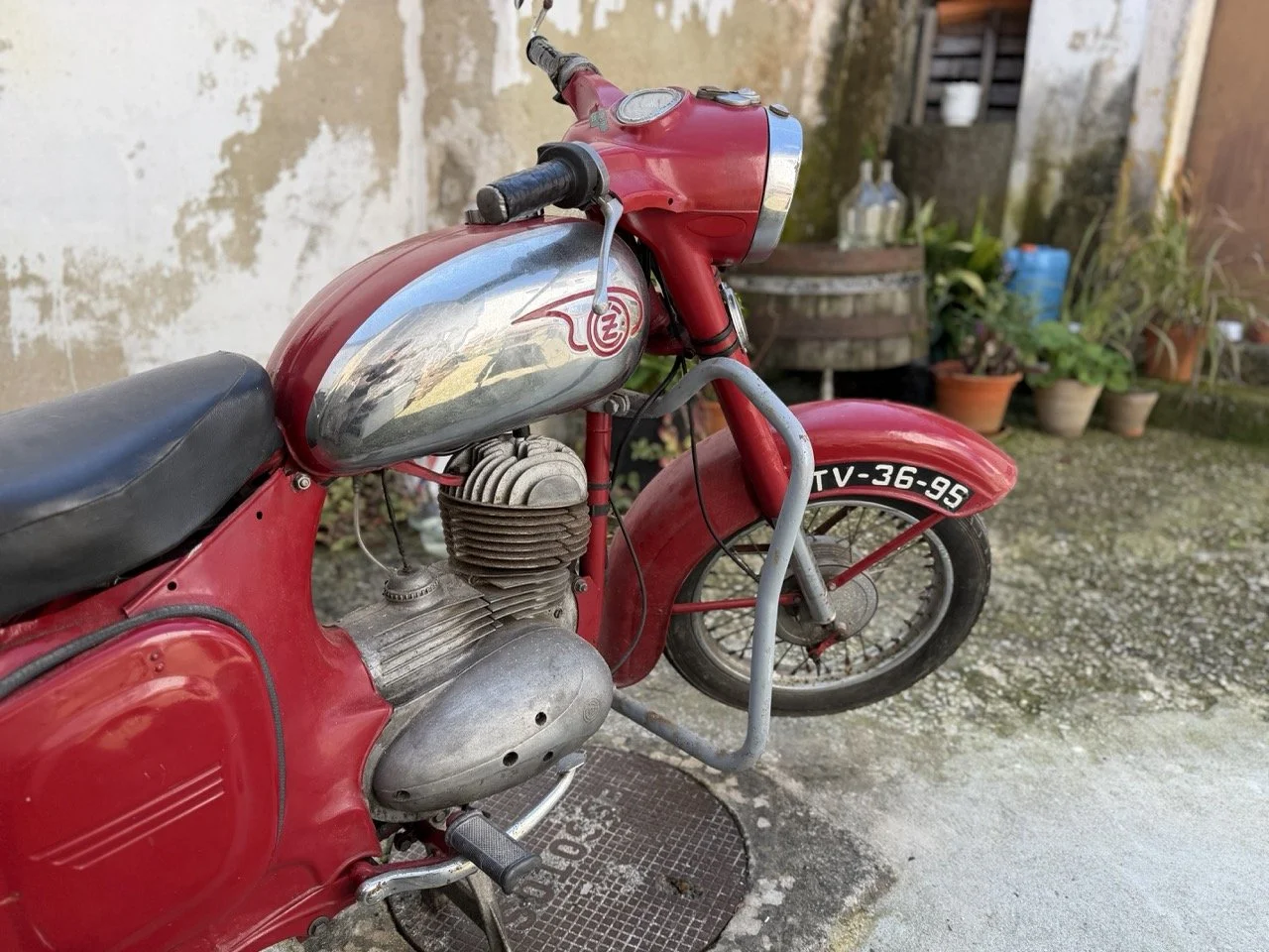 IMG_5902 – grande.jpeg