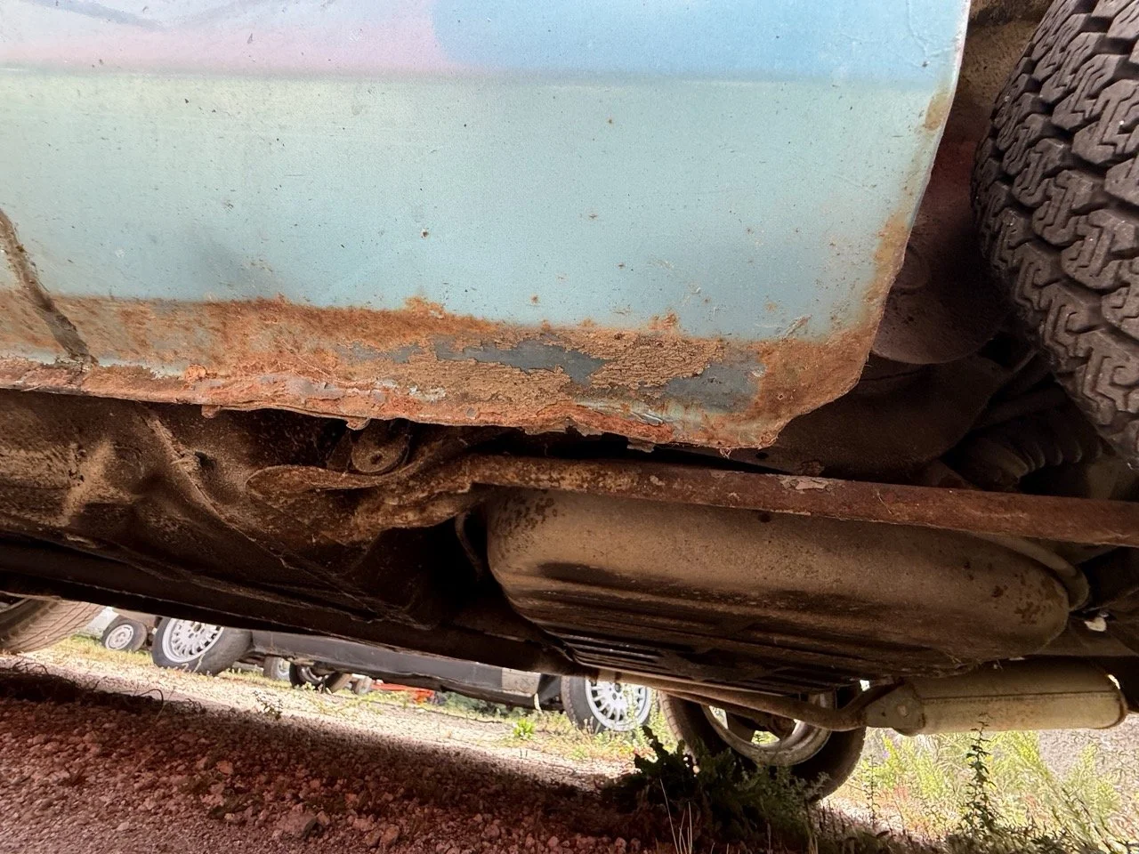 IMG_1564 – grande.jpeg