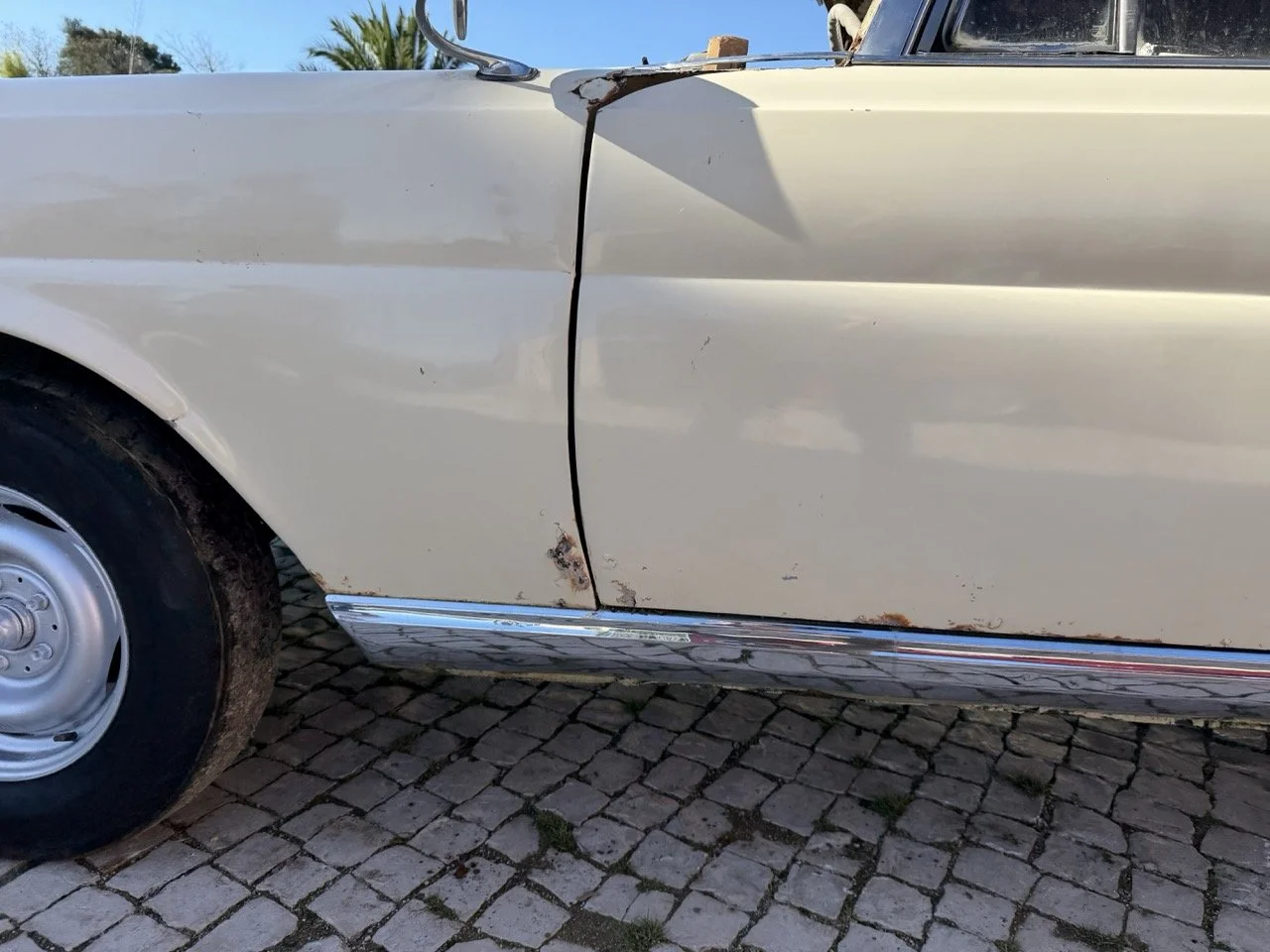 IMG_7038 – grande.jpeg