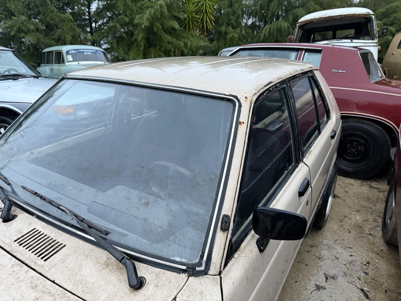 IMG_0263 – grande.jpeg