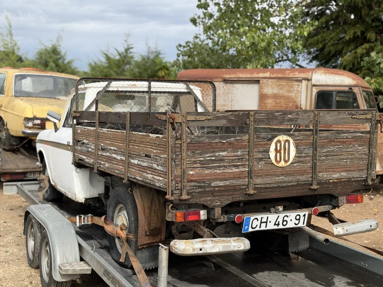 IMG_1891 – grande.jpeg