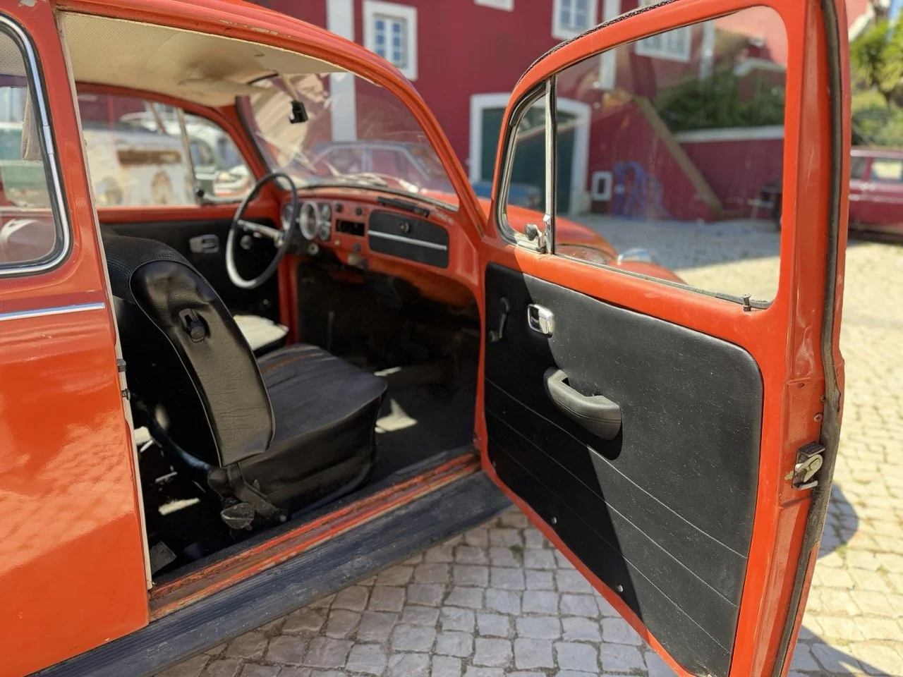 IMG_7525 – grande.jpeg