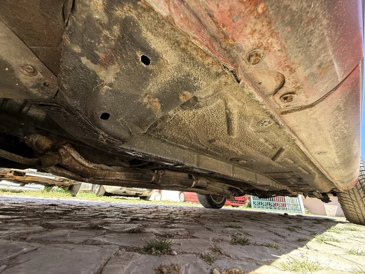 IMG_2100 – grande.jpeg