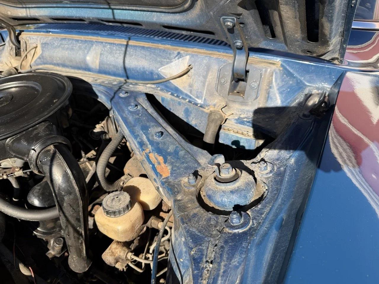 IMG_1850 – grande.jpeg