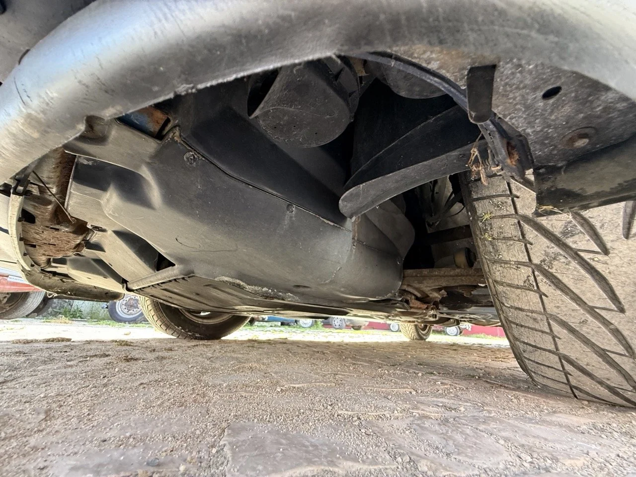 IMG_2519 – grande.jpeg