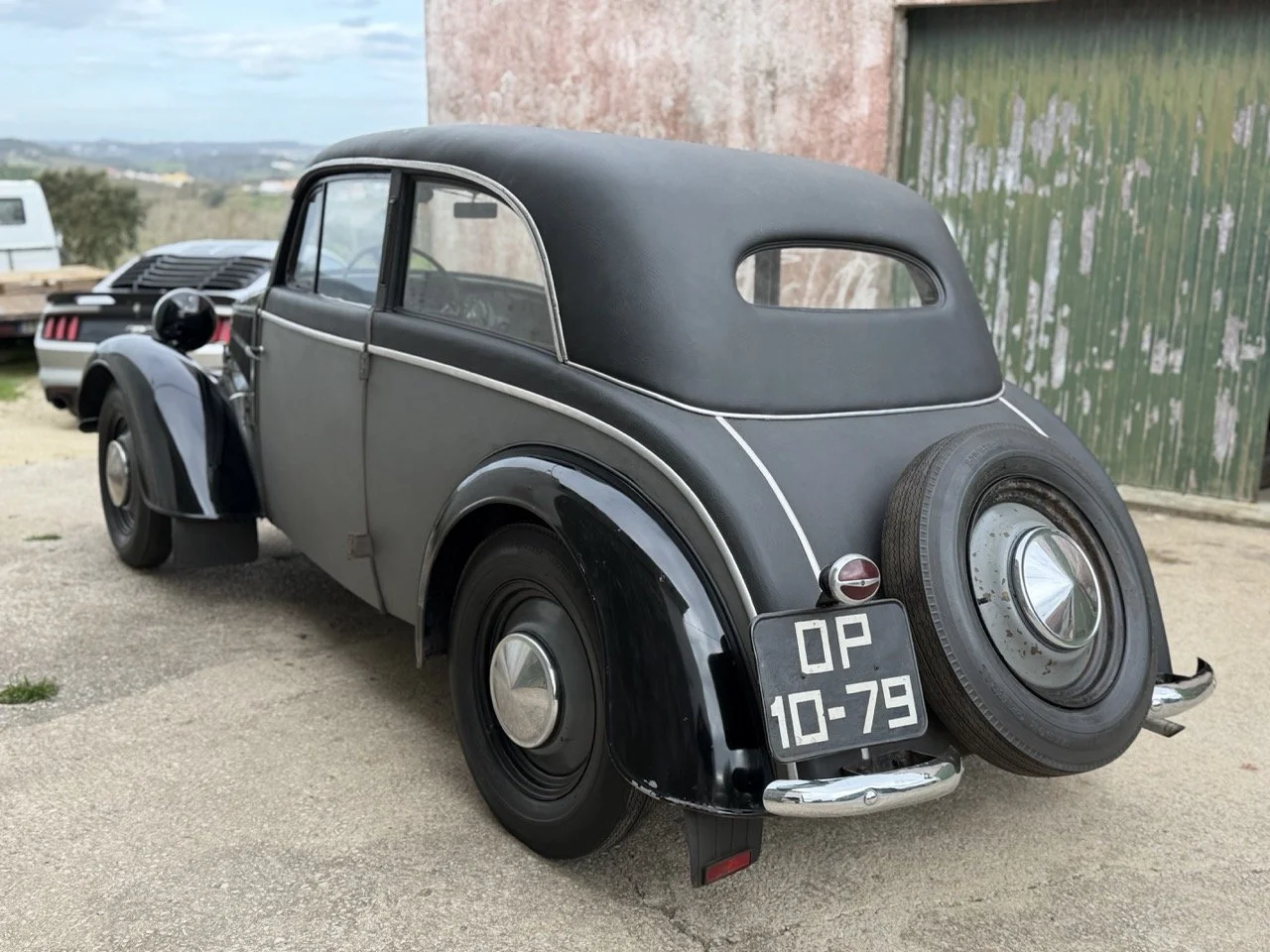 IMG_1408 – grande.jpeg