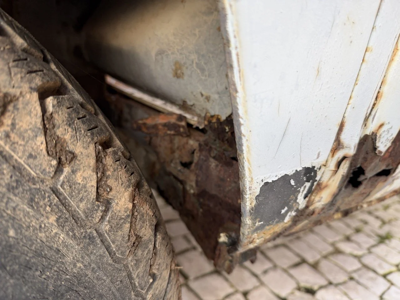 IMG_0832 – grande.jpeg