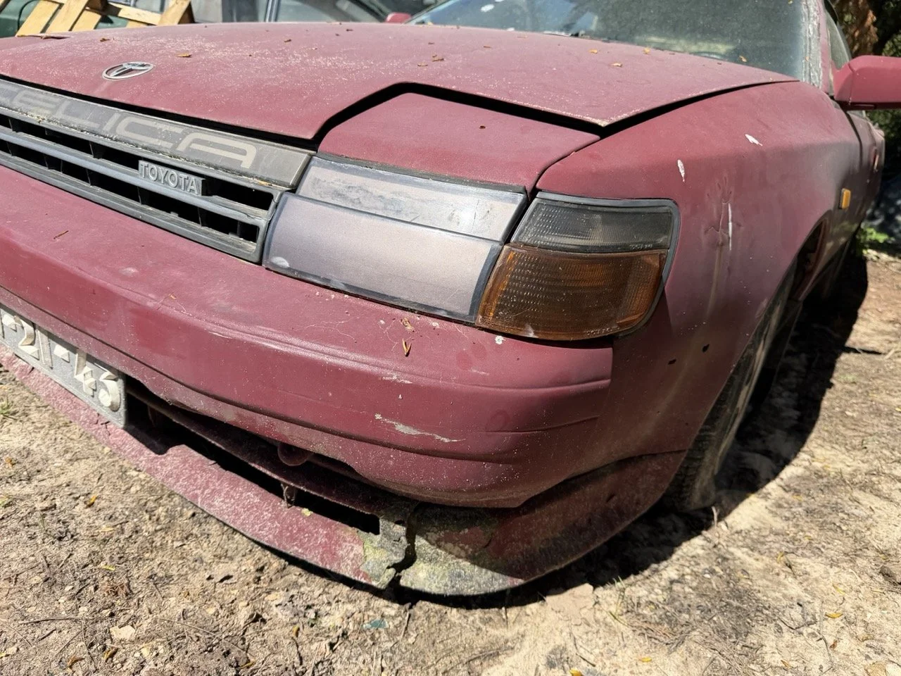 IMG_7625 – grande.jpeg