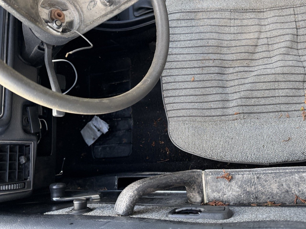 IMG_5180 – grande.jpeg